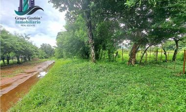 COCHEA ARRIBA, FINCA EN VENTA