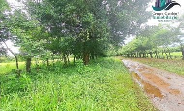 COCHEA ARRIBA, FINCA EN VENTA