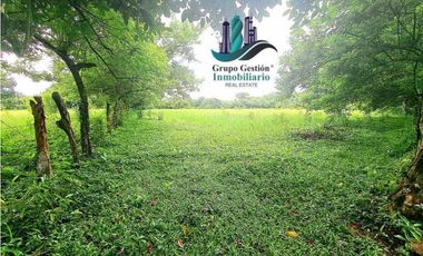 COCHEA ARRIBA, FINCA EN VENTA