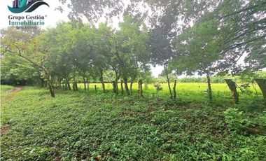 COCHEA ARRIBA, FINCA EN VENTA