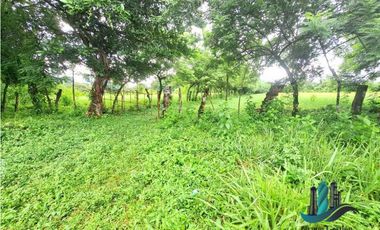 COCHEA ARRIBA, FINCA EN VENTA