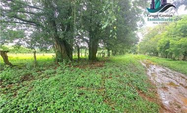 COCHEA ARRIBA, FINCA EN VENTA