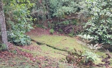 terreno en venta en urbano. Cod V5667