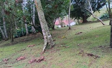 terreno en venta en urbano. Cod V5667