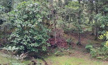 terreno en venta en urbano. Cod V5667