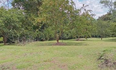 terreno en venta en urbano. Cod V5667