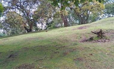 terreno en venta en urbano. Cod V5667