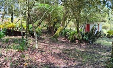 terreno en venta en urbano. Cod V5667
