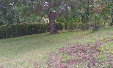 terreno en venta en urbano. Cod V5667