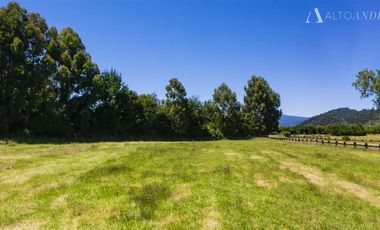 Sitio en Venta en PUYEHUE