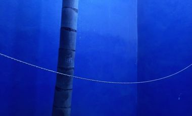 CASA EN VENTA EN FRACC. LA LOMITA, SGS