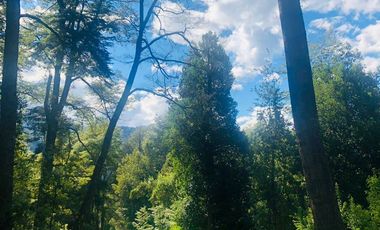 Sitio en Venta en Fundo Ermitaño, Llanada Grande, Cochamó