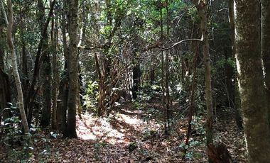 Sitio en Venta en Fundo Ermitaño, Llanada Grande, Cochamó