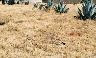 TERRENO EN VENTA EN TLÁHUAC