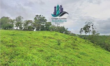 VENDO FINCA DE 400 HECTAREAS VOLCAN