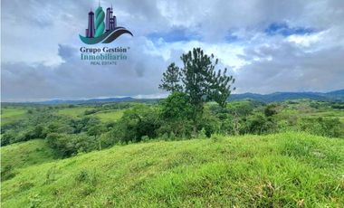 VENDO FINCA DE 400 HECTAREAS VOLCAN