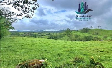 VENDO FINCA DE 400 HECTAREAS VOLCAN