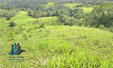 VENDO FINCA DE 400 HECTAREAS VOLCAN