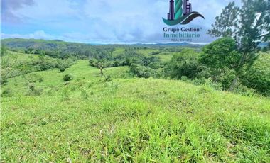 VENDO FINCA DE 400 HECTAREAS VOLCAN