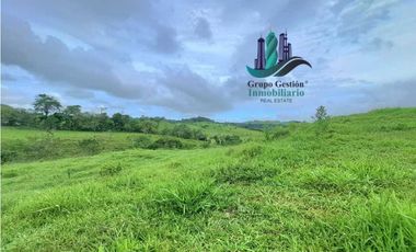VENDO FINCA DE 400 HECTAREAS VOLCAN