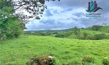 VENDO FINCA DE 400 HECTAREAS VOLCAN