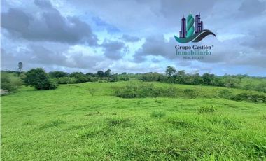 VENDO FINCA DE 400 HECTAREAS VOLCAN