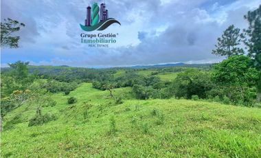 VENDO FINCA DE 400 HECTAREAS VOLCAN