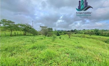 VENDO FINCA DE 400 HECTAREAS VOLCAN