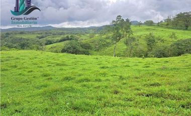 VENDO FINCA DE 400 HECTAREAS VOLCAN