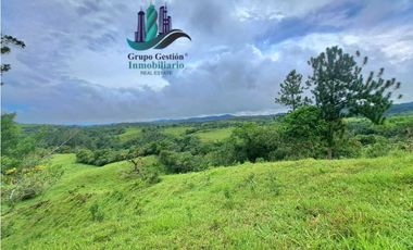 VENDO FINCA DE 400 HECTAREAS VOLCAN