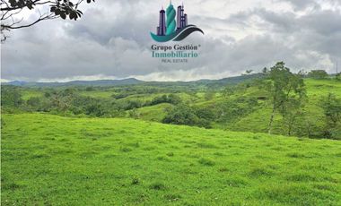 VENDO FINCA DE 400 HECTAREAS VOLCAN