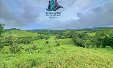 VENDO FINCA DE 400 HECTAREAS VOLCAN