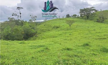 VENDO FINCA DE 400 HECTAREAS VOLCAN