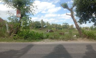 Tanah pekarangan barat PKU Muhammadiyah Gamping, di tepi jalan aspal Nyamplung, Balecatur,Gamping