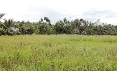 land for sale, sea and mountain view in Bali