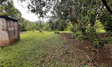 VENDO TERRENO EN LA CHORRERA GUADALUPE EL NAZARENO 8 HECTREAS