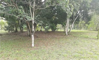 VENDO TERRENO EN LA CHORRERA GUADALUPE EL NAZARENO 8 HECTREAS