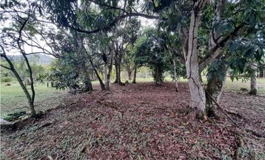 VENDO TERRENO EN LA CHORRERA GUADALUPE EL NAZARENO 8 HECTREAS