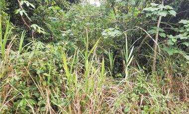 VENDO TERRENO EN LA CHORRERA GUADALUPE EL NAZARENO 8 HECTREAS