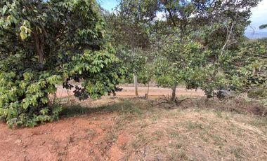 lote en venta en dapa. Cod V17273