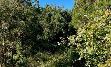 Sitio en Venta en PUYEHUE