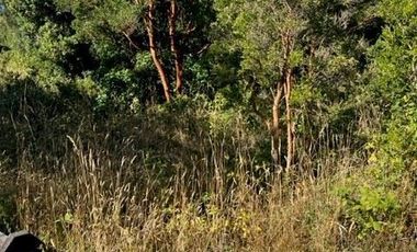 Sitio en Venta en PUYEHUE