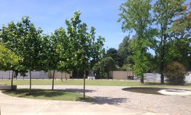 Oficina en Work, 46 Plaza