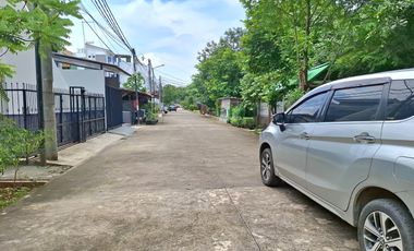 Rumah Hoek Kelapa Hibrida, Kelapa Gading