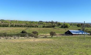 Un Hermoso Paraíso en la Ciudad de Bulnes