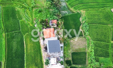 VILLA RICE FIELD DI PACUNG SELAT ABIANSEMAL MENGWI BADUNG, BALI