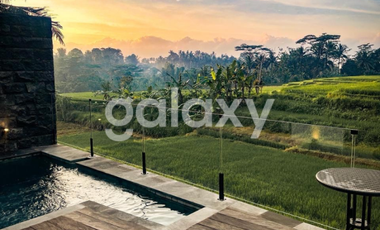 VILLA RICE FIELD DI PACUNG SELAT ABIANSEMAL MENGWI BADUNG, BALI