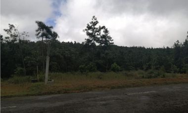 VENTA TERRENO CERRO AZUL