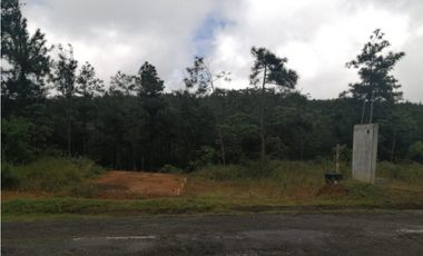 VENTA TERRENO CERRO AZUL