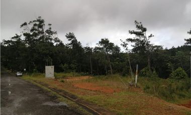VENTA TERRENO CERRO AZUL